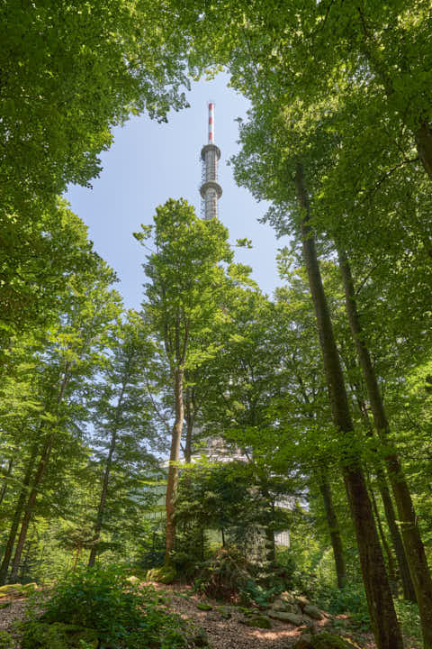 Gemeinde Sonnenwald Landkreis Freyung-Grafenau Brotjacklriegel Funkturm Sendeanlage (Dirschl Johann) Deutschland FRG